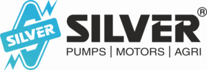 06 silver pumps